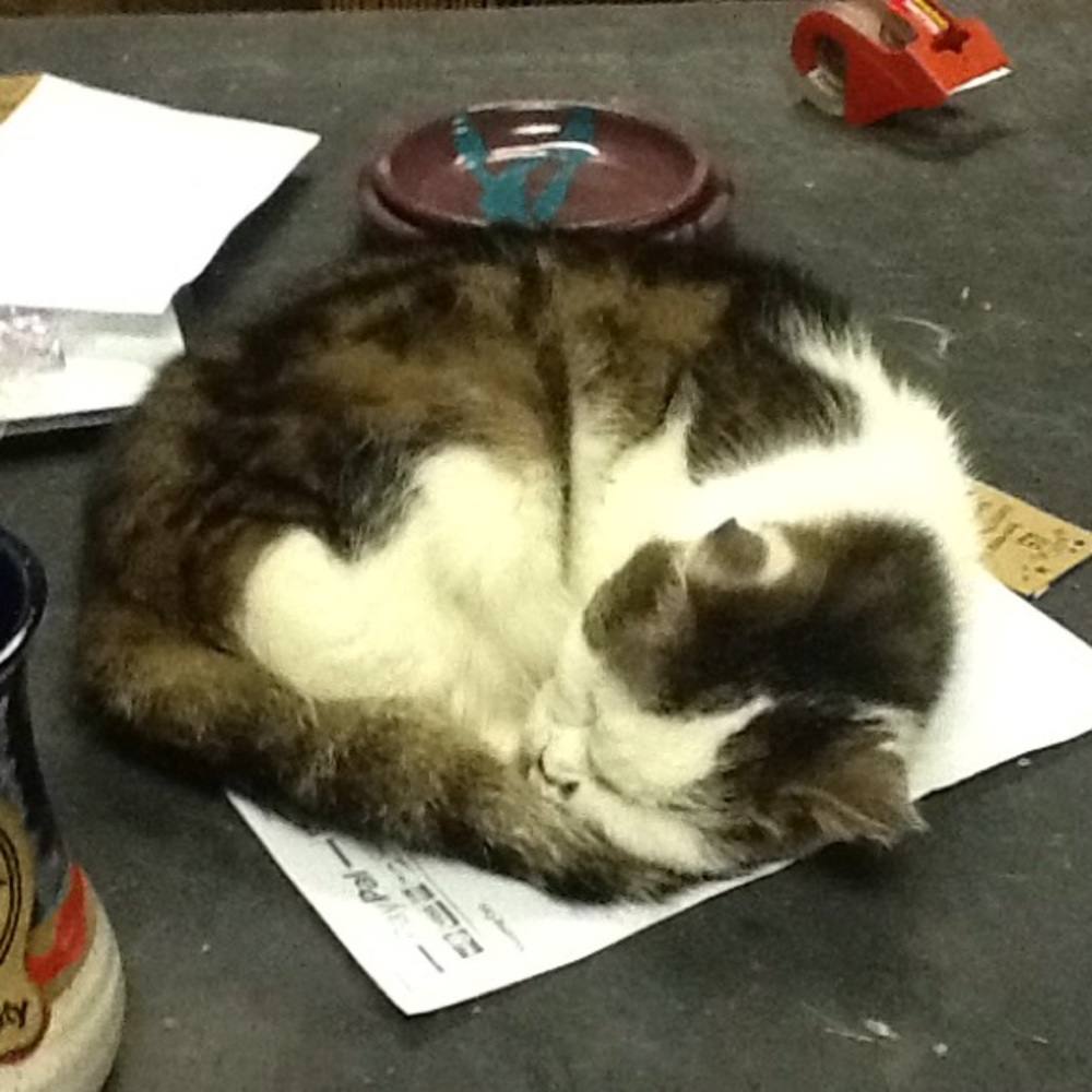 Meet your Posher, Cherri